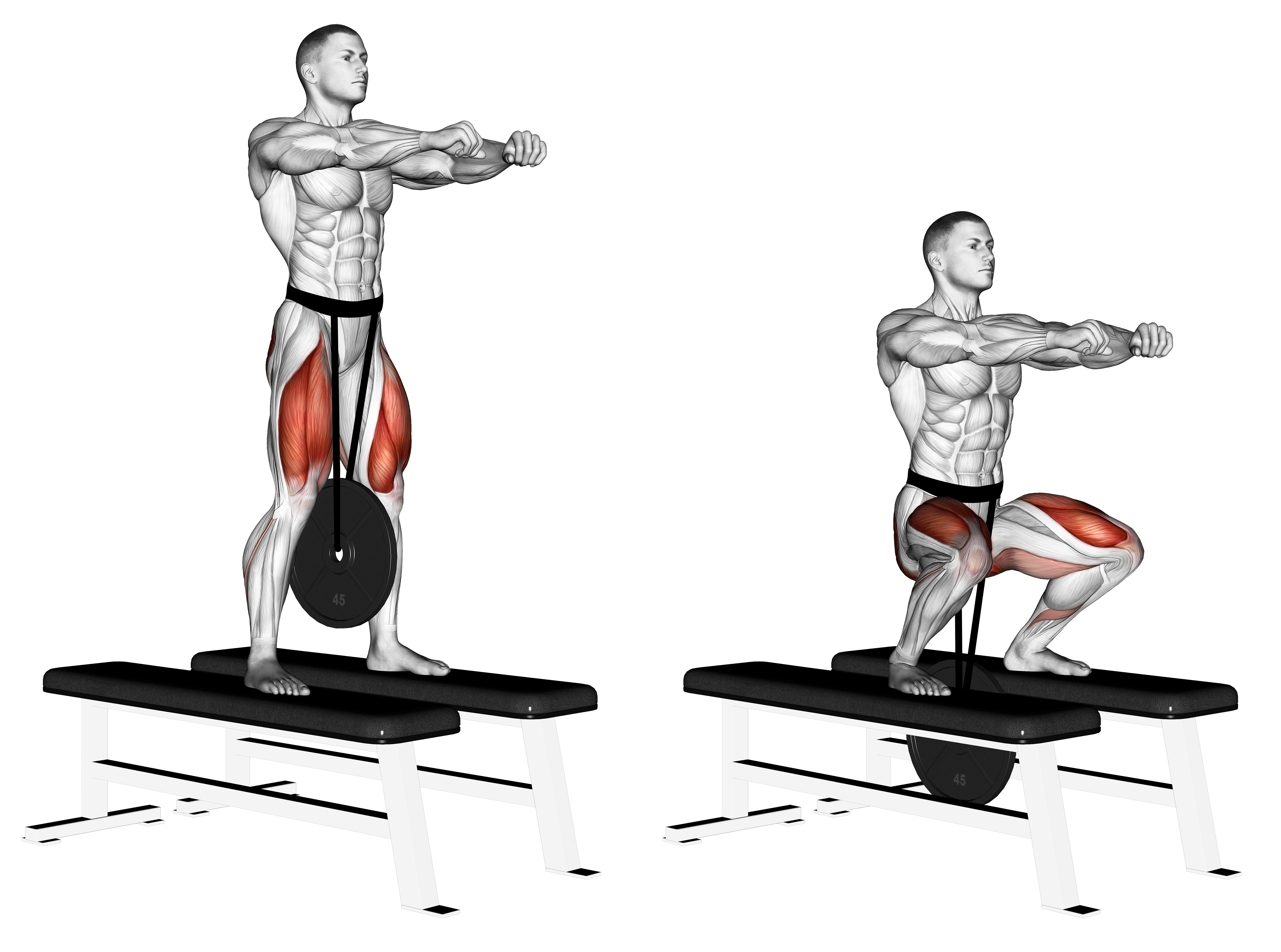 Weighted Squat