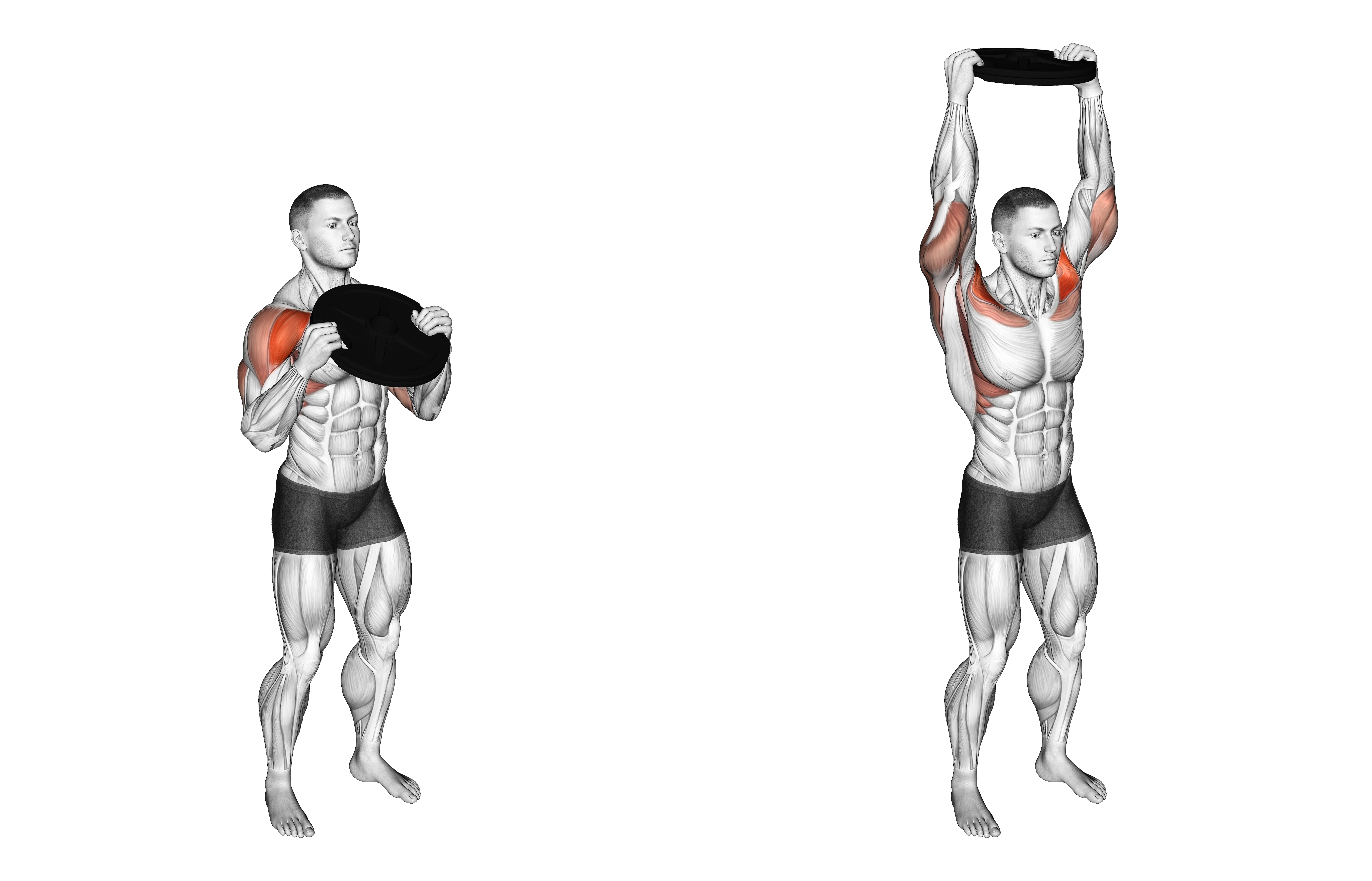 Weighted Standing Shoulder Press