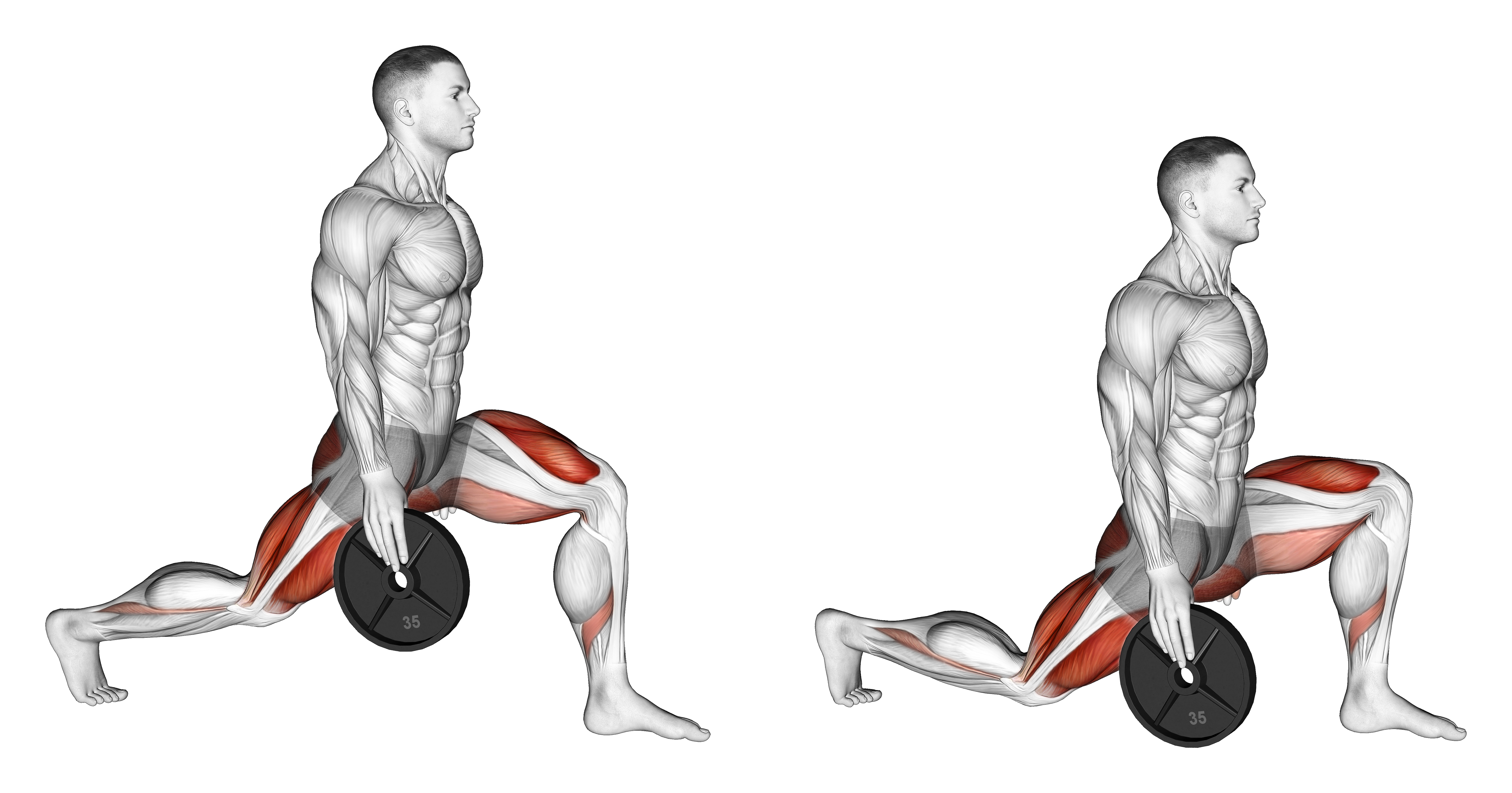 Weighted Stretch Lunge