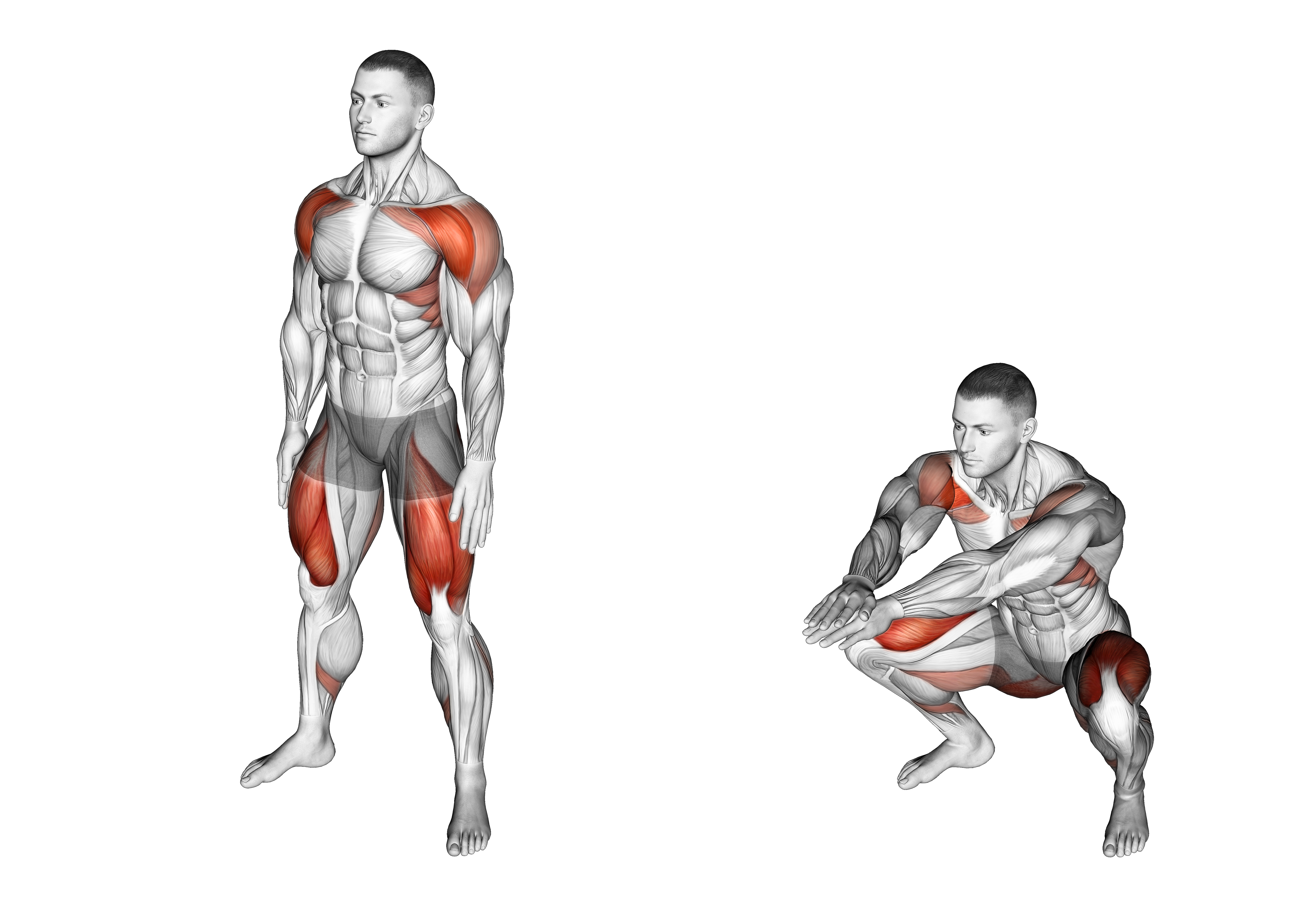 Wide Air Squat