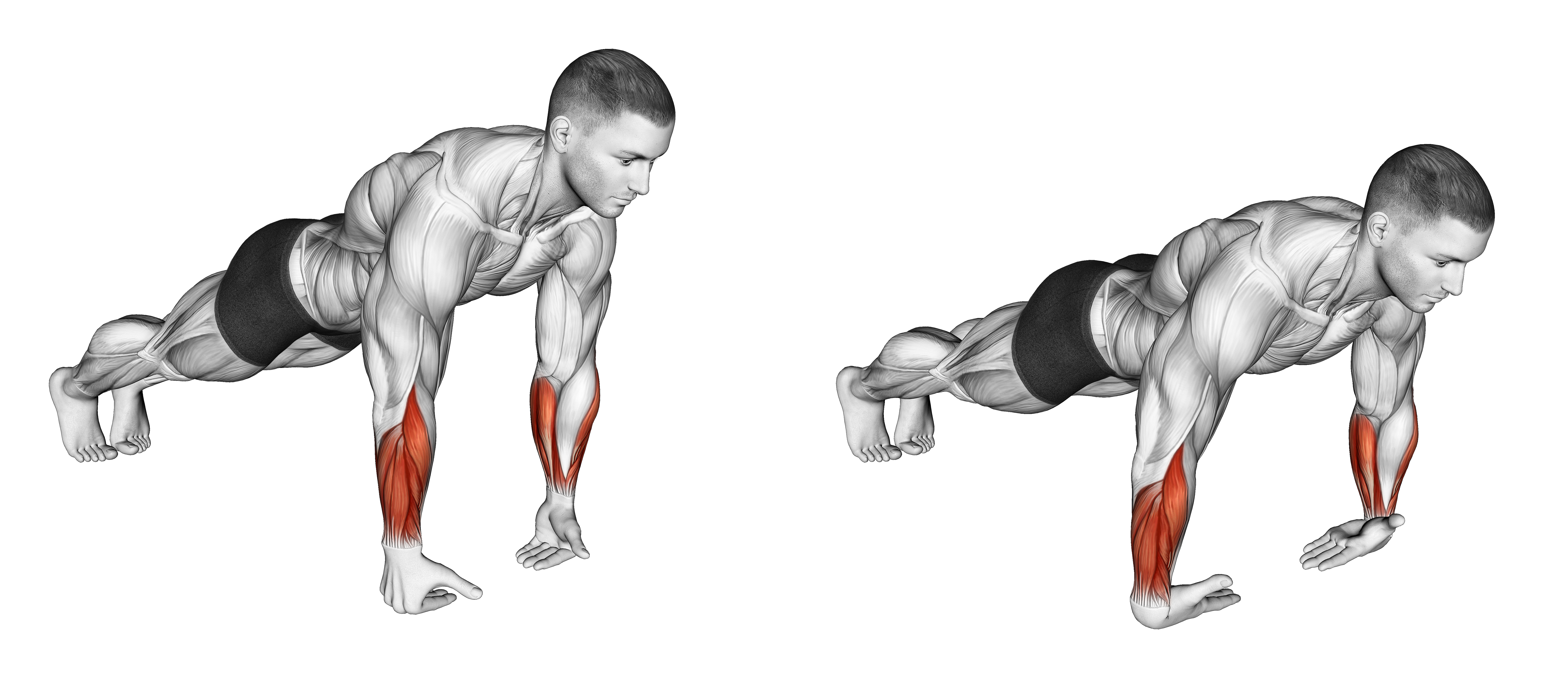 Wrist Push Up